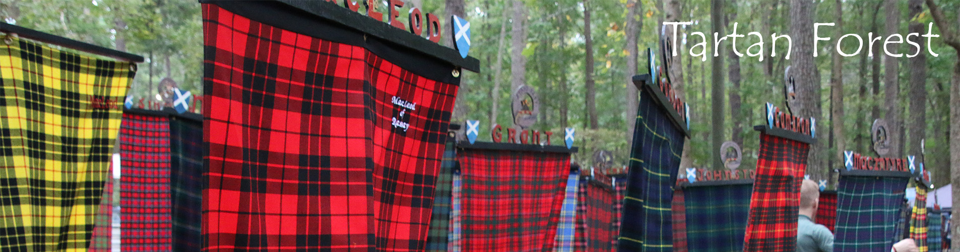 Tartan Forest